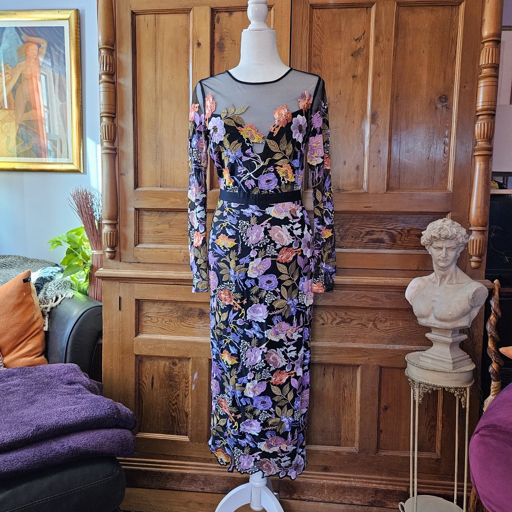 Stunning NICOLE MILLER Embroidered Floral Mesh Long Sleeve Dress. Sheer Back.